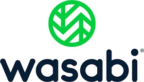 Wasabi On-Site Business Headshot Client